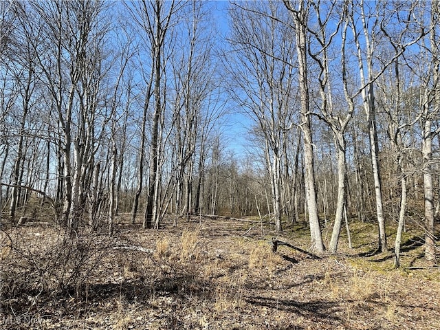 23314 Frostyville Rd, Caldwell, OH 43724 - view of nature