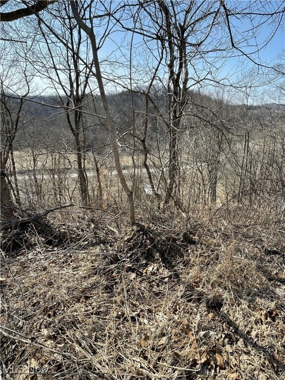 23314 Frostyville Rd, Caldwell, OH 43724 - exterior space