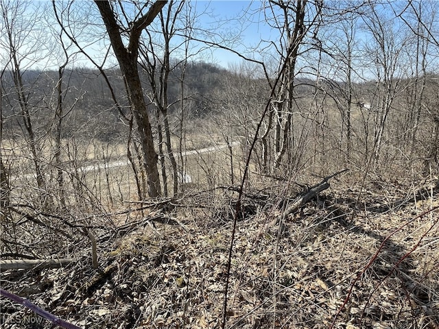 23314 Frostyville Rd, Caldwell, OH 43724 - view of landscape