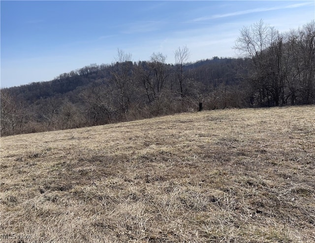 23314 Frostyville Rd, Caldwell, OH 43724 - mountain view with a forest view