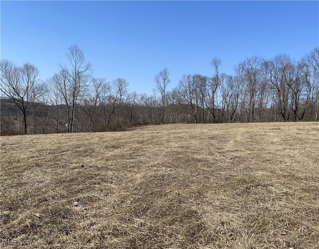 23314 Frostyville Rd, Caldwell, OH 43724 - view of local wilderness featuring a rural view