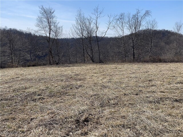 23314 Frostyville Rd, Caldwell, OH 43724 - exterior space featuring a view of trees