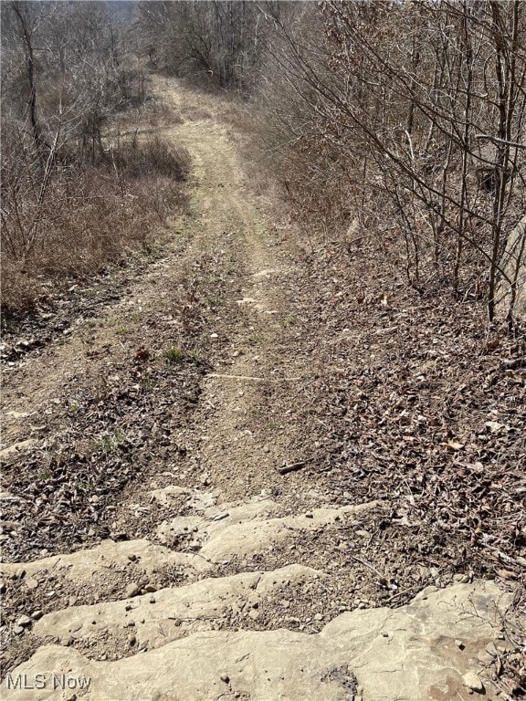 23314 Frostyville Rd, Caldwell, OH 43724 - view of landscape