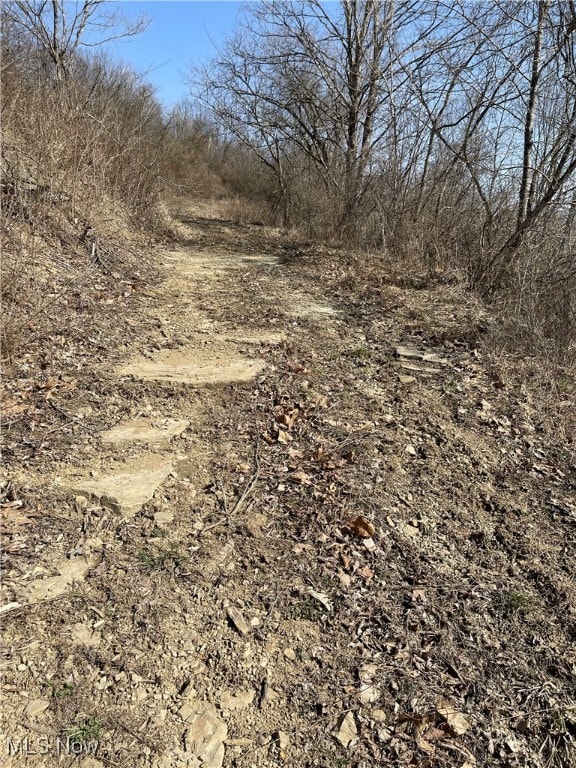 23314 Frostyville Rd, Caldwell, OH 43724 - view of landscape