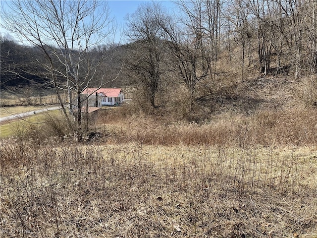 23314 Frostyville Rd, Caldwell, OH 43724 - view of yard
