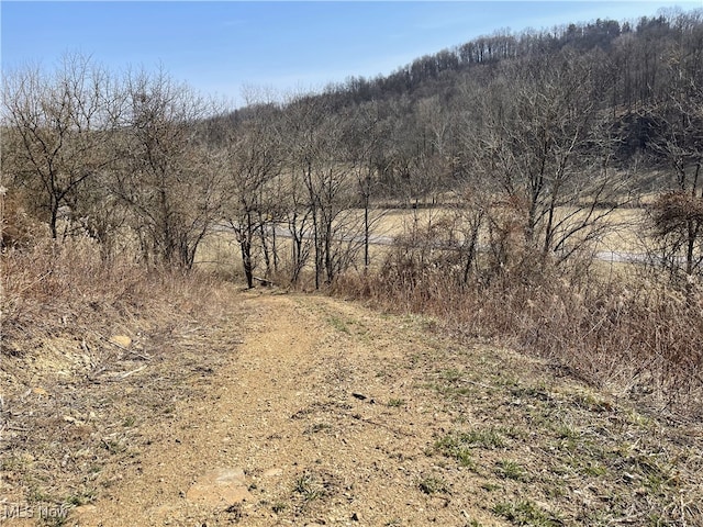 23314 Frostyville Rd, Caldwell, OH 43724 - view of landscape