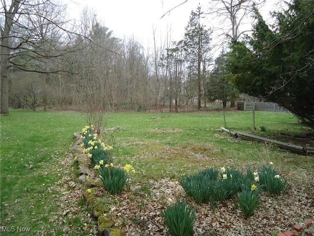 view of yard