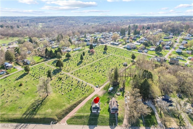 drone / aerial view