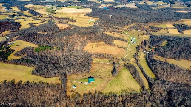 35955-35959 Bower Rd, Scio, OH 43988 - drone / aerial view