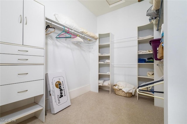 35955-35959 Bower Rd, Scio, OH 43988 - walk in closet featuring carpet flooring
