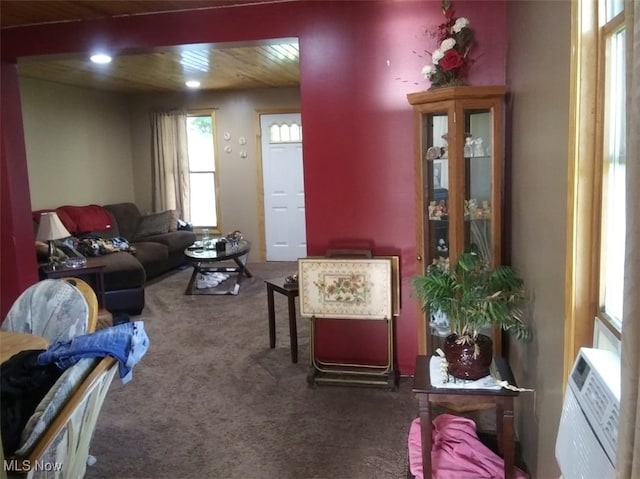 2052 Campground Rd, Wellsville, OH 43968 - carpeted living room with plenty of natural light and recessed lighting