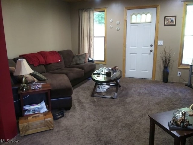2052 Campground Rd, Wellsville, OH 43968 - living area featuring carpet flooring