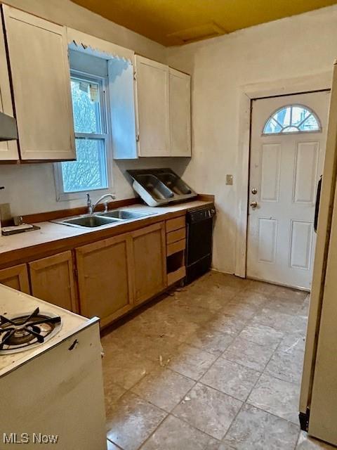119 Erie St, Elyria, OH 44035 - kitchen with a sink, light countertops, and dishwasher