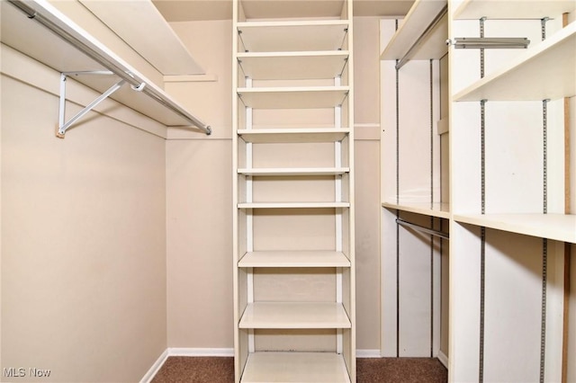 3333 Warrensville Center Rd Unit 204, Shaker Heights, OH 44122 - spacious closet featuring carpet floors