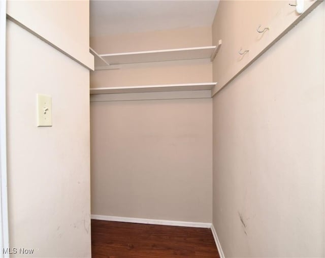 3333 Warrensville Center Rd Unit 204, Shaker Heights, OH 44122 - walk in closet with wood finished floors