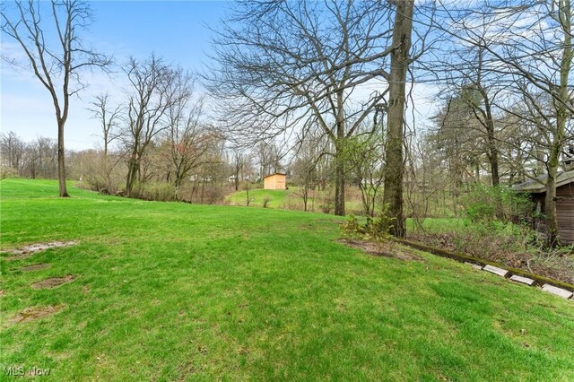 174 N Broad St, Canfield, OH 44406 - view of yard