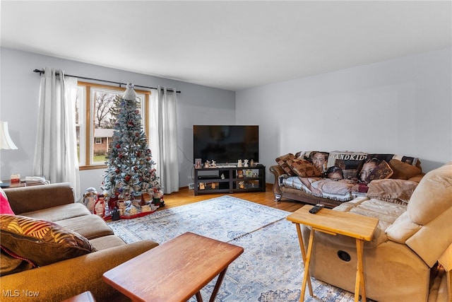 living room featuring wood finished floors