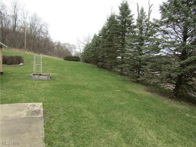 230 Bryden Rd, Weirton, WV 26062 - view of yard