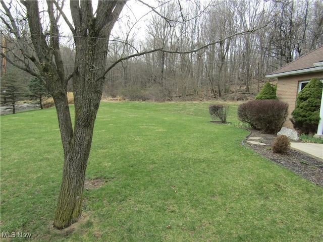 230 Bryden Rd, Weirton, WV 26062 - view of yard