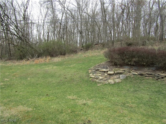 230 Bryden Rd, Weirton, WV 26062 - view of yard