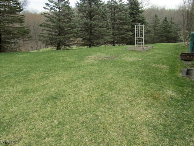 230 Bryden Rd, Weirton, WV 26062 - view of yard