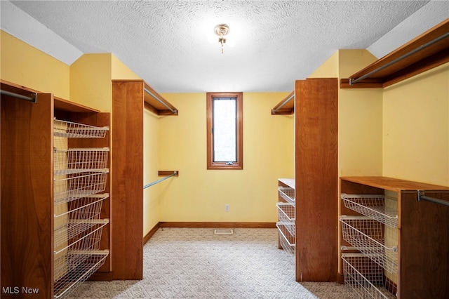 walk in closet with carpet floors