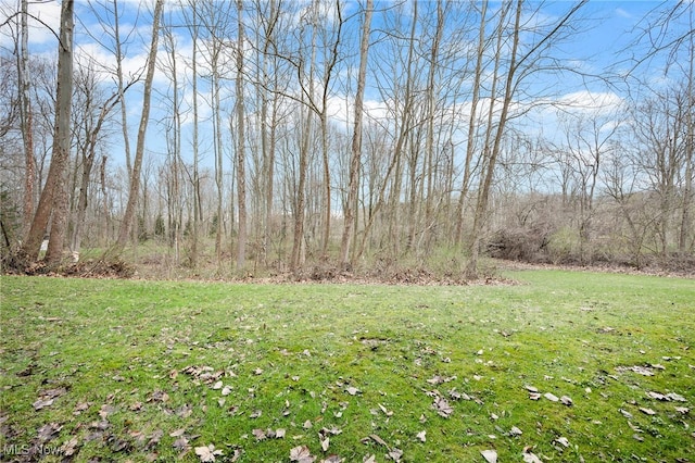 view of yard featuring a view of trees