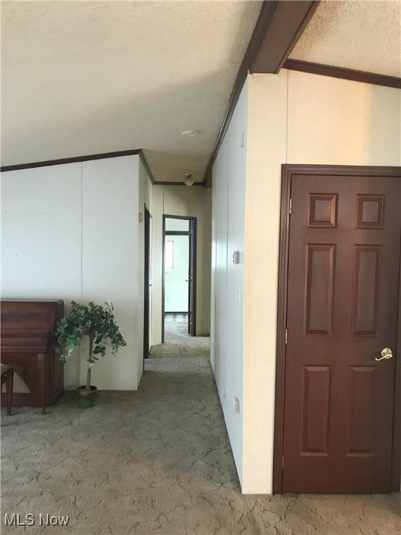 corridor with carpet and a textured ceiling