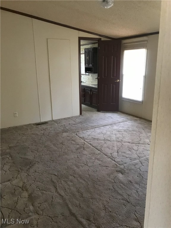 spare room featuring a textured ceiling and light colored carpet
