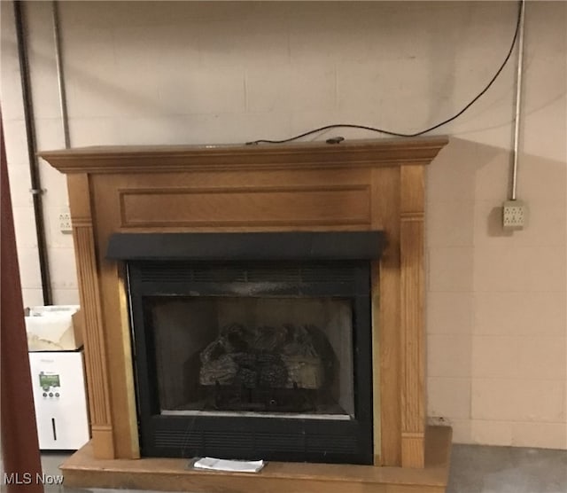room details with a fireplace with raised hearth