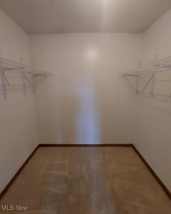 walk in closet featuring light colored carpet