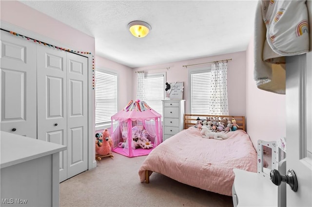 218 Canterbury Ct, Columbiana, OH 44408 - bedroom featuring a closet, multiple windows, and carpet flooring