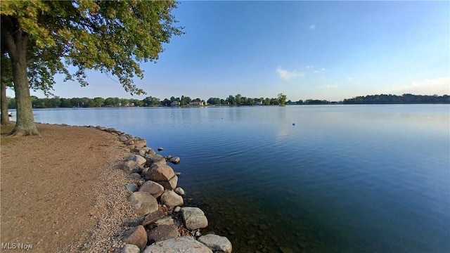 view of water feature