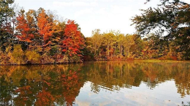 view of water feature featuring a view of trees