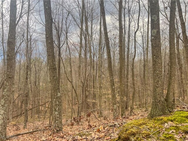 Ponetown Rd, Ray, OH 45672 - photo 1
