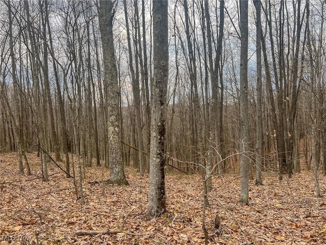 Ponetown Rd, Ray, OH 45672 - photo 2