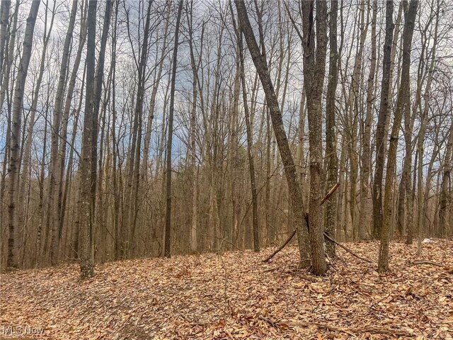 Ponetown Rd, Ray, OH 45672 - photo 4