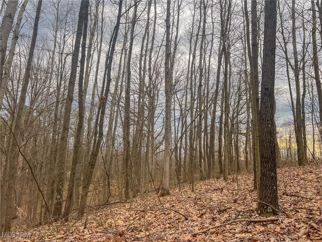 Ponetown Rd, Ray, OH 45672 - photo 5