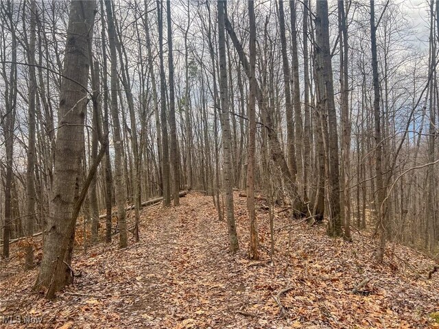 Ponetown Rd, Ray, OH 45672 - photo 7