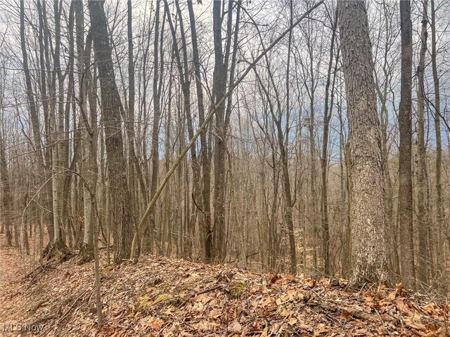 Ponetown Rd, Ray, OH 45672 - photo 9