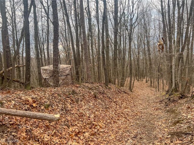 Ponetown Rd, Ray, OH 45672 - photo 10