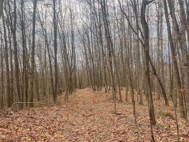 Ponetown Rd, Ray, OH 45672 - photo 11