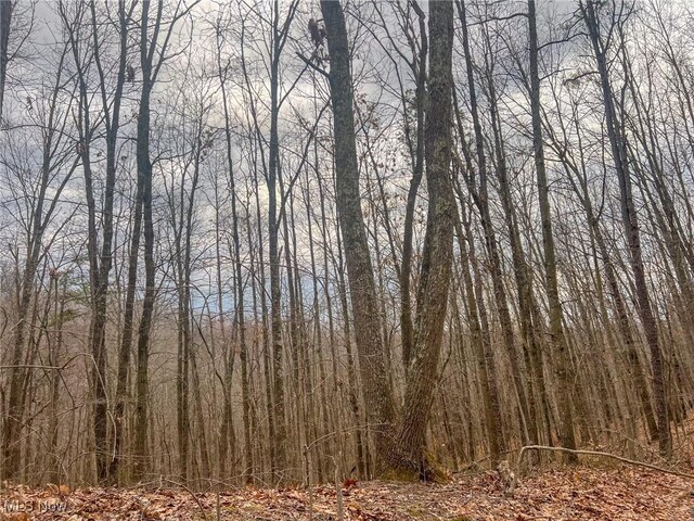 Ponetown Rd, Ray, OH 45672 - photo 12