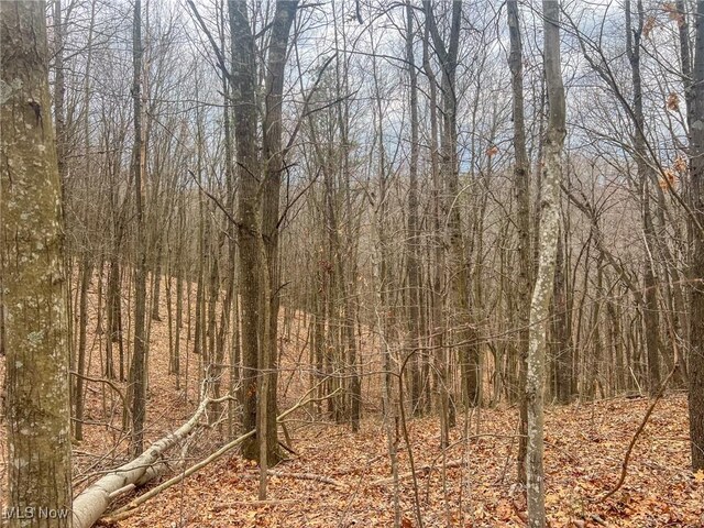 Ponetown Rd, Ray, OH 45672 - photo 13