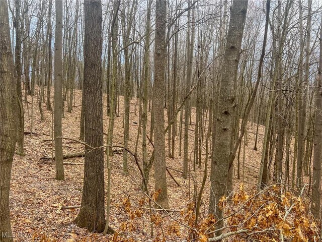 Ponetown Rd, Ray, OH 45672 - photo 14