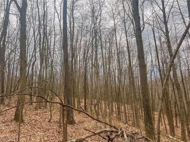Ponetown Rd, Ray, OH 45672 - photo 15