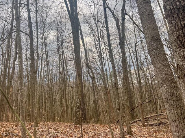 Ponetown Rd, Ray, OH 45672 - photo 16