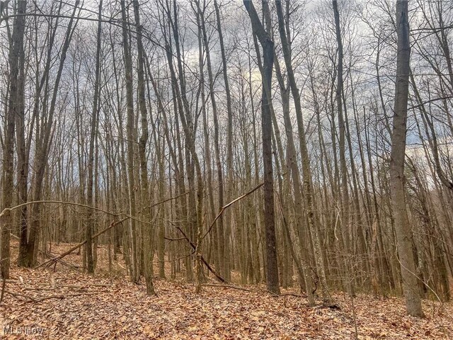 Ponetown Rd, Ray, OH 45672 - photo 17