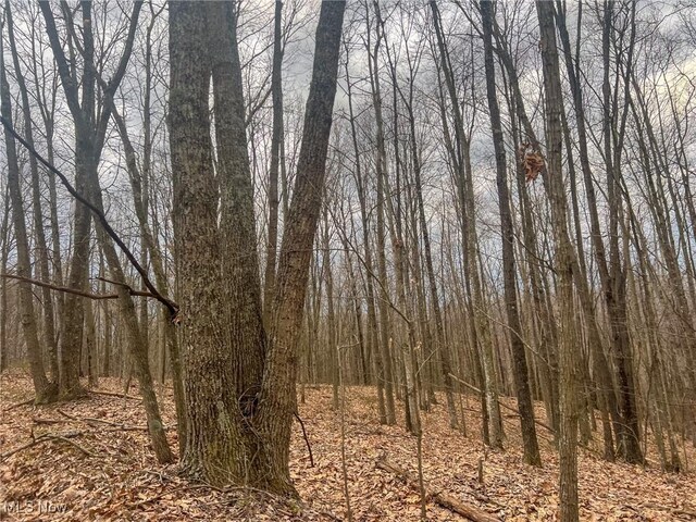Ponetown Rd, Ray, OH 45672 - photo 18