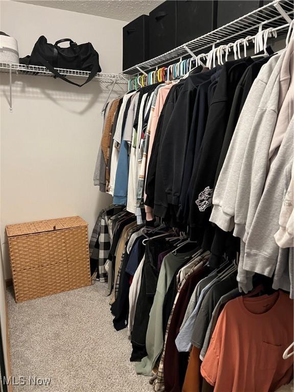 walk in closet featuring carpet flooring